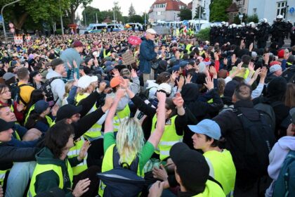 AfD party protests