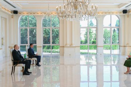 Irish ambassador credentials