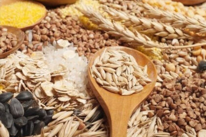 FAO Food Price Index