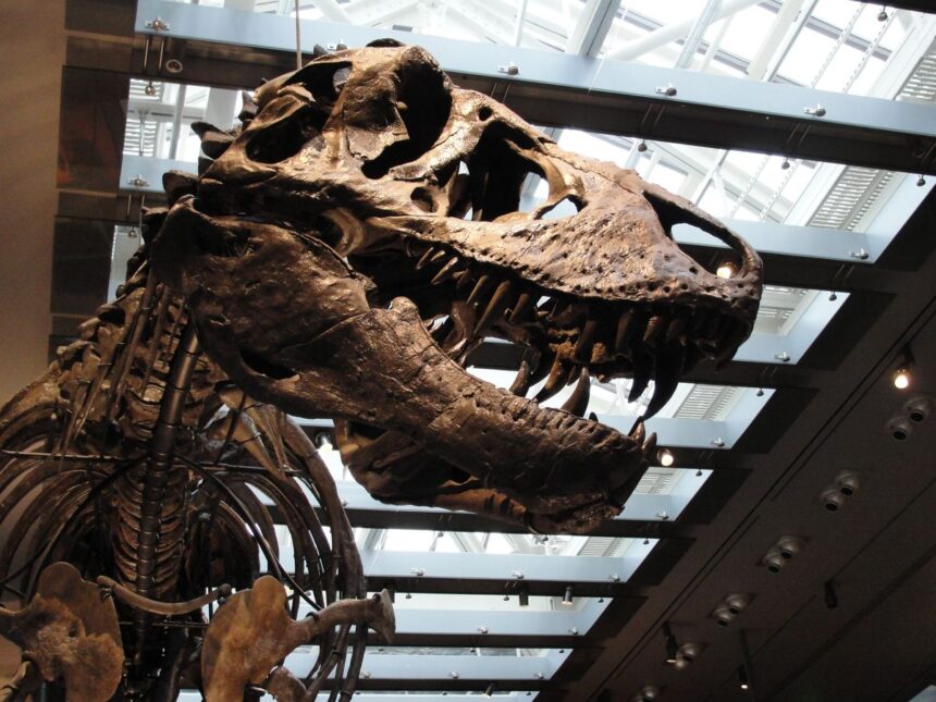 Tyrannosaurus rex was warm-blooded