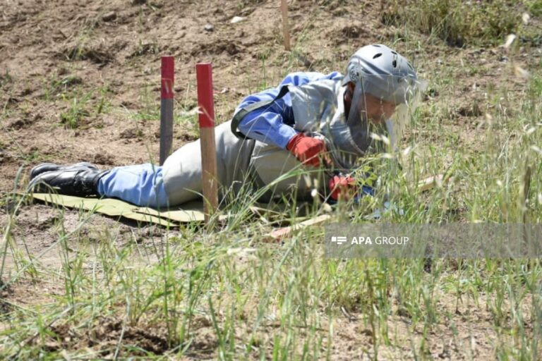 cleared 300,000 hectares of mines