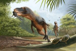 feather found in dinosaur