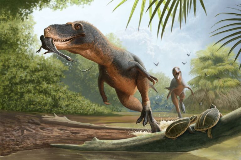 feather found in dinosaur