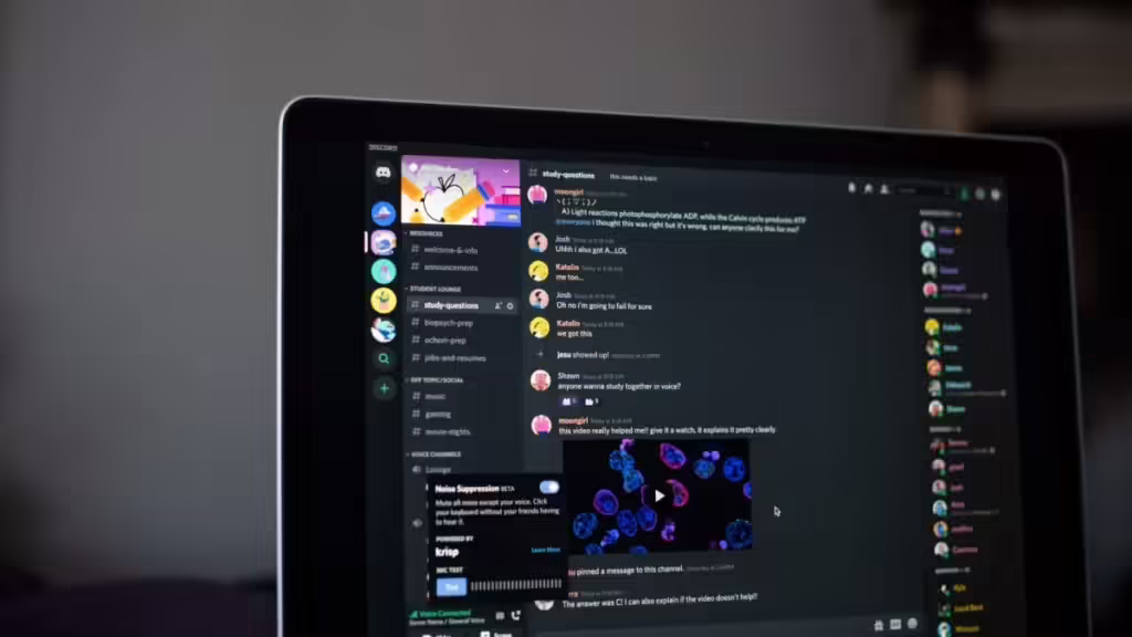 A computer screen displays messages in a Discord server.